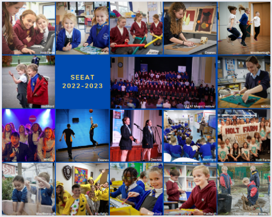 South East Essex Academy Trust - What a year!